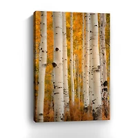 Orange Autumn Canvas Giclee
