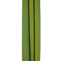 31" White Allium Artificial Flower Stem, 8ct.