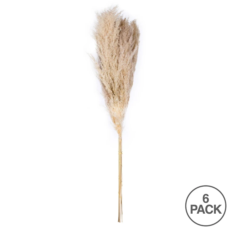Dried Natural Pampas Grass, 6ct.