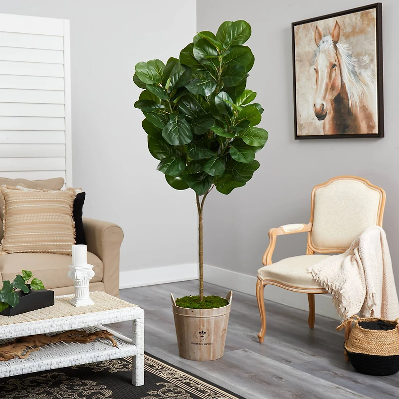 6ft. Fiddle Leaf Fig Tree in Farmhouse Planter