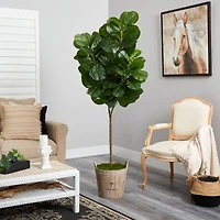 6ft. Fiddle Leaf Fig Tree in Farmhouse Planter