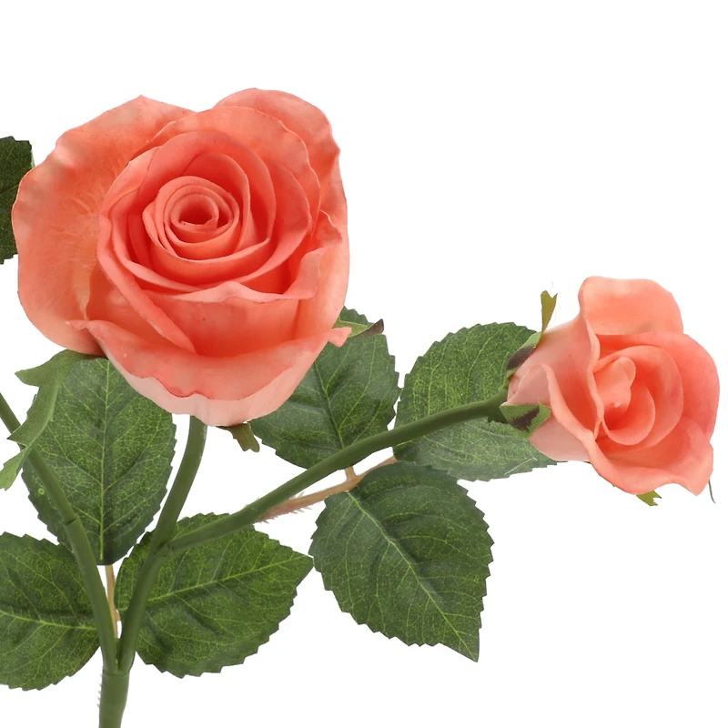 6 Pack: Rose Spray by Ashland