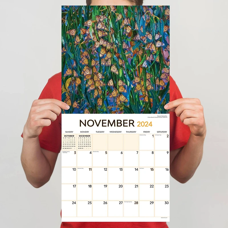 TF Publishing 2024 Animals in Motion Wall Calendar