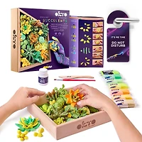 OKTO DIY Wood & Craft Energy Succulents Clay Kit