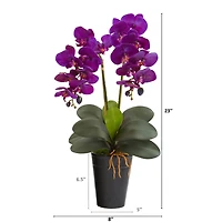 23" Double Orchid Arrangement In Vase