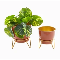 The Novogratz Set of 2 Pink Iron Modern Planter, 12" x 10" x 10"