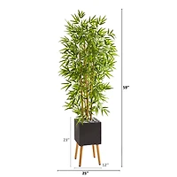 5ft. Bamboo Tree in Black Planter with Stand