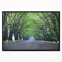 Designart - Arched Trees Over Country Road