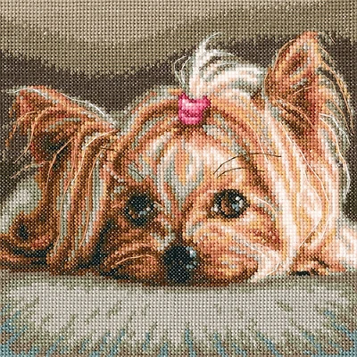 RTO Pet Cross Stitch Kit