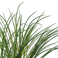 8 Pack: Assorted Grass Bush by Ashland®