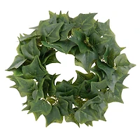 16 Pack: Assorted 6ft. Mini Ivy Garland by Ashland®