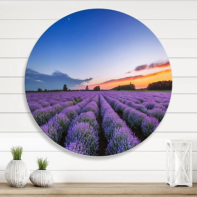 Designart - Sunrise & Dramatic Clouds Over Lavender Field I