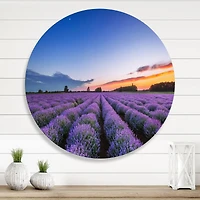 Designart - Sunrise & Dramatic Clouds Over Lavender Field I