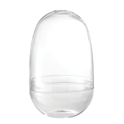 Hello Honey® 13" Large Clear Glass Terrarium