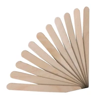 Wood Craft Sticks by Creatology