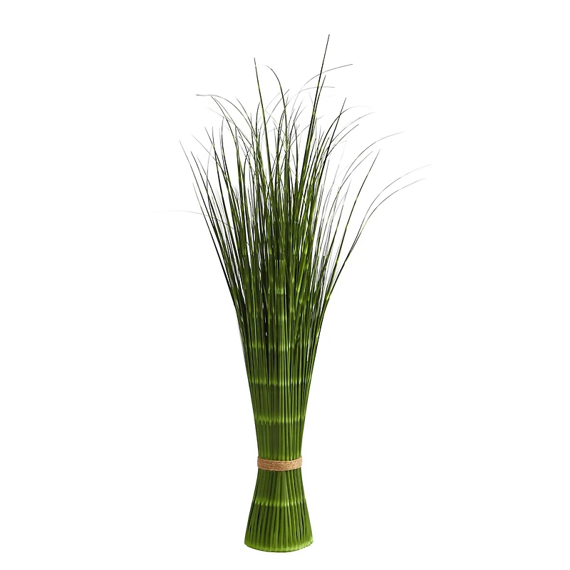 3ft. Onion Grass