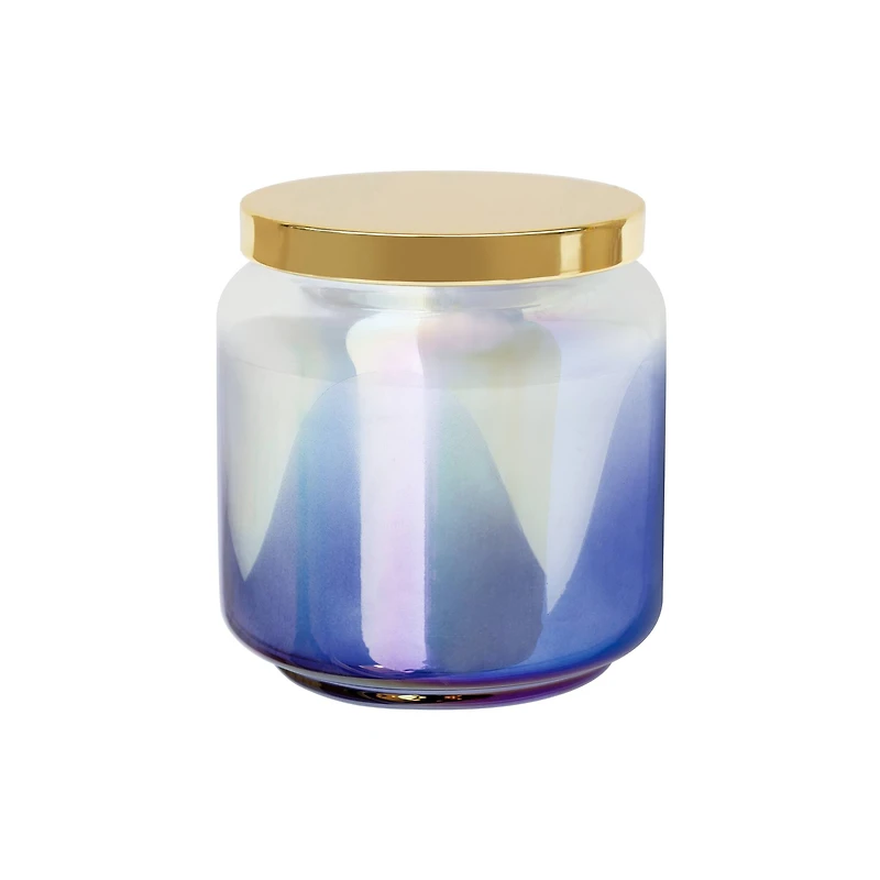 12oz. Gold Lid Scented Jar Candle by Ashland