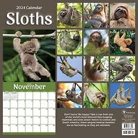 TF Publishing 2024 Sloths Wall Calendar