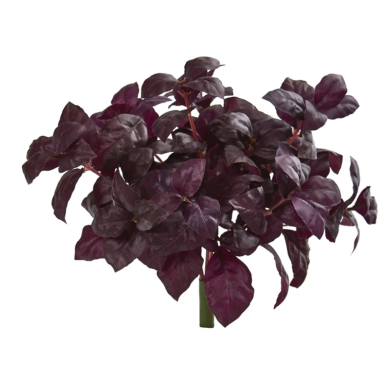 Burgundy Basil Bush, 6ct.