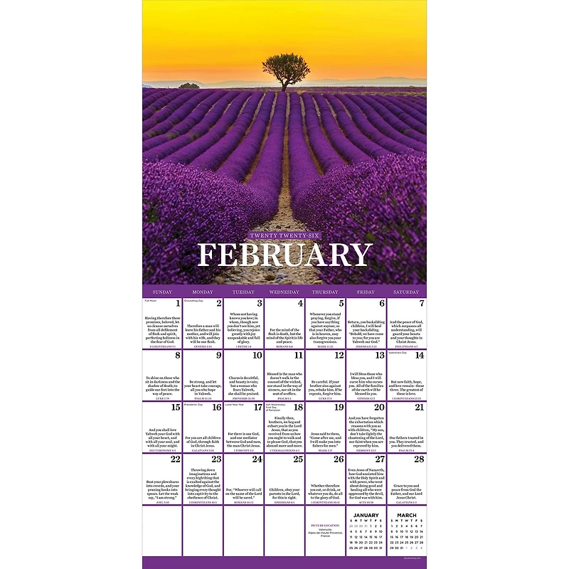 2026 Daily Verse Wall Calendar