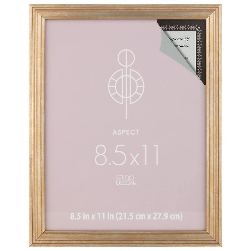 Aspect 8.5" x 11" Gold Narrow Frame by Studio Décor®