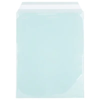 JAM Paper 8.93" x 11.25" Self Adhesive Closure Cello Sleeves