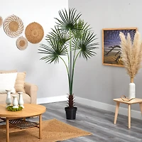 7ft. Potted Fan Palm Tree 