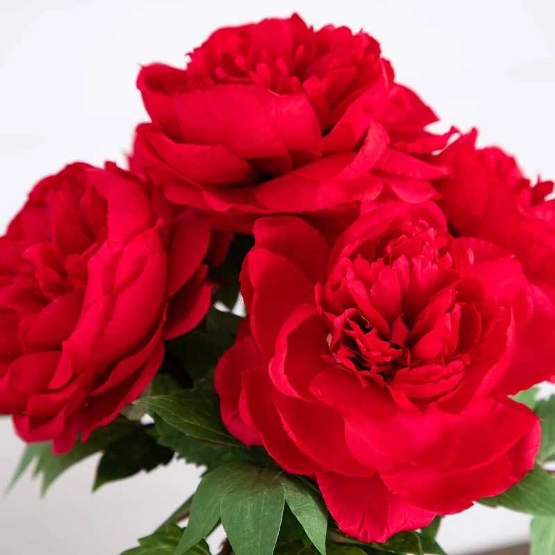 16" Red Peony Arrangement in Glass Vase