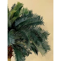 6ft. Sago Palm Tree in Wicker Basket Pot