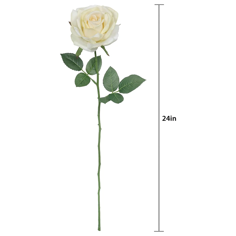 24" Rose Real Touch Stem by Ashland