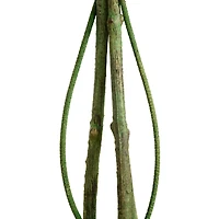 4.5ft. UV Resistant Artificial Ficus Tree (Indoor/Outdoor)