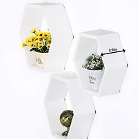 NEX™ Wall-Mounted Hexagon Floating Shelves Set