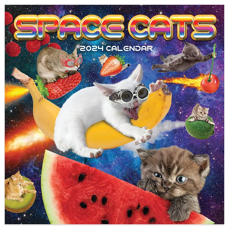 TF Publishing Space Cats Mini Calendar
