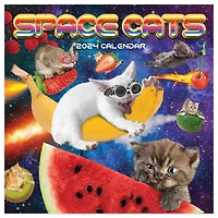 TF Publishing Space Cats Mini Calendar