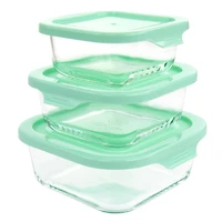 Martha Stewart Square Glass Storage Containers with Mint Lids
