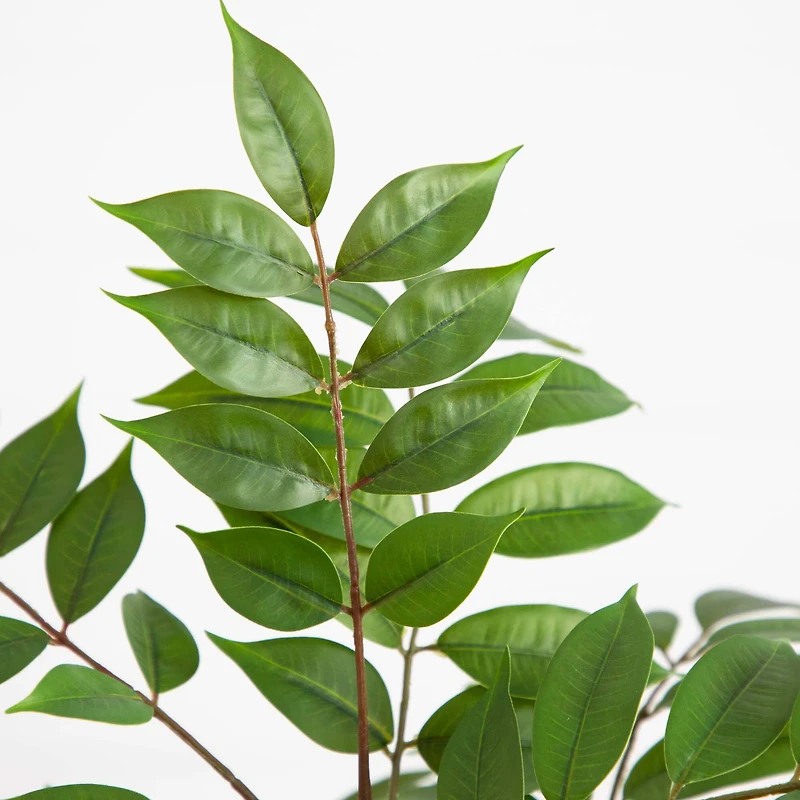 3.5ft. Potted Sumac Tree