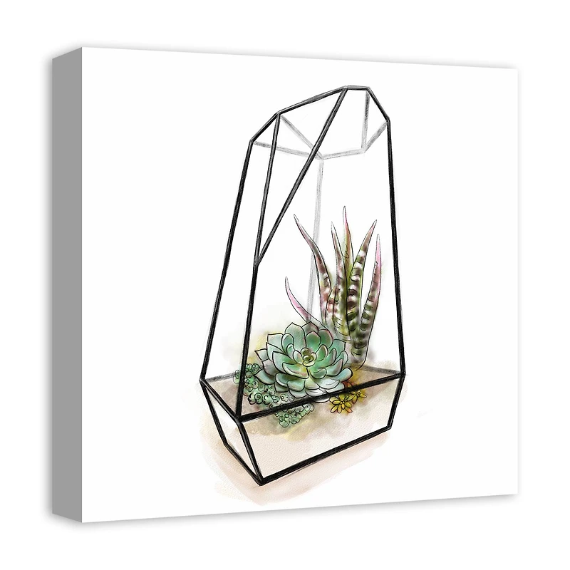 Terrarium 16" x 16" Canvas Wall Art