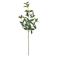 25" Orange Balsam Blossom Stem by Ashland®