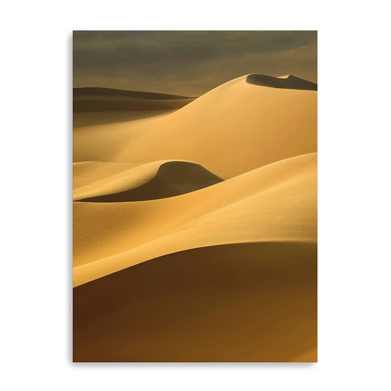 In the Dunes 3 Canvas Giclee