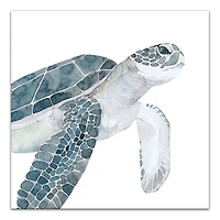 Sea Turtle Swimming 24" x 24" Canvas Wall Art