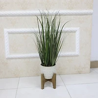 Flora Bunda® 31" Onion Grass In 6.6" Catheral Ceramic Pot On Stand