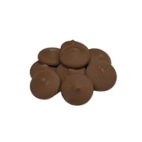 Melt Craft™ Cocoa Candy Wafers