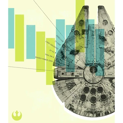 RoomMates Star Wars Millennium Falcon Tapestry