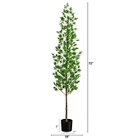 6ft. UV Artificial Podocarpus Artificial Tree (Indoor/Outdoor)