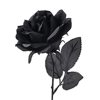 12 Pack: Black Open Rose Stem by Ashland™