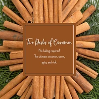 Scentsicles Cinnamon Scented Paper Stick Ornaments, 12ct.