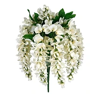 17" Cream Wisteria Bush by Ashland®