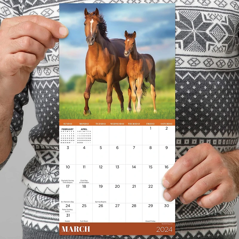 TF Publishing 2024 Horses Mini Calendar