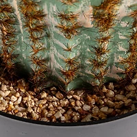 Hello Honey® Round Faux Green Vatricania Cactus in Plastic Pot