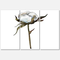 Designart - Retro Cotton Flower